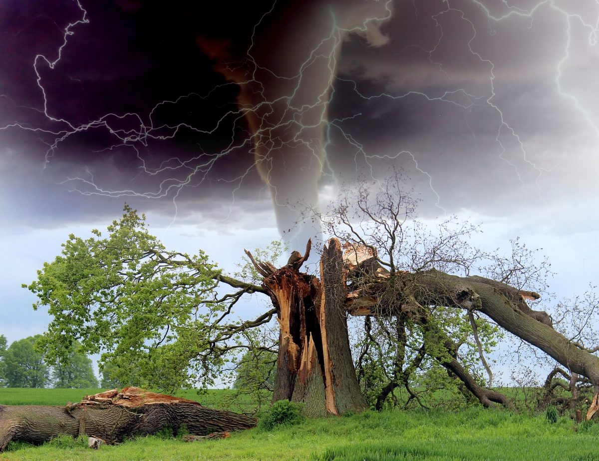 https://pixabay.com/en/tornado-storm-tree-branch-rainstorm-1193184/